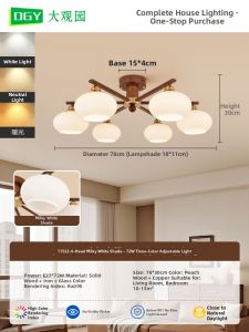 DGY | Retro Luxurious Warm Ambiance Living Room Chandelier