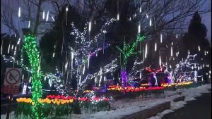 ✨ไฟ LED ฝักบัวดาวตก ✨ ไฟกระพริบ ไฟดาว ไฟประดับ ไฟดาวตก ไฟตกแต่ง ไฟตกแต่งสวน