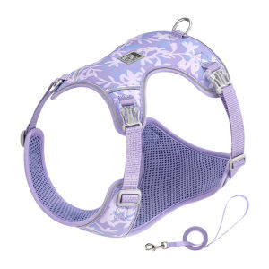 TRUELOVE Fashion Dog Harness And Leash Set Adjustable Comfort Puppy Pet Chest Strap Reflective Durable Lead Rope For Dogs Outdoor Walking