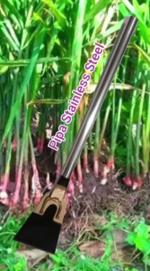 Dodos bibit tanaman gagang pipa stainless steel