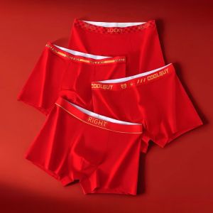 Teenage Boy Antibacterial Briefs