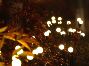 Solar Firefly Lights LED 6/8/10 Heads Outdoor Waterproof Garden Lights IP65 for Patio Road Lawn Cemetery Landscape Lights Birthday Party Christmas Decoration Lighting