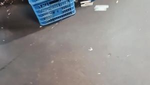 8 Burner Single Row Single Intake Fire Row Combustor Artificial Gas Liquefied Gas Natural Gas Combustor