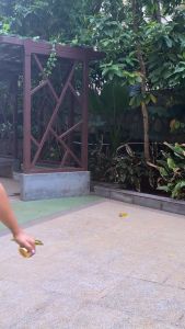 VAADI HERBAL ORGANICS Free Gift with Vitamin C Face Cream with Hyaluronic Acid 30g x 2