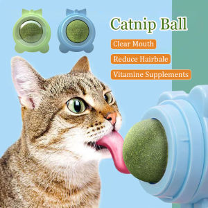 Catnip Ball Interactive Cat Toy Cat Treat Detachable Cat mint Treats Kitten Toy Wall Mount Molar Teething Toy Cat Favorite