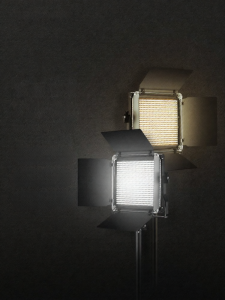 Neewer | Indoor and Outdoor LED Photographic Light Constant Brightness 660