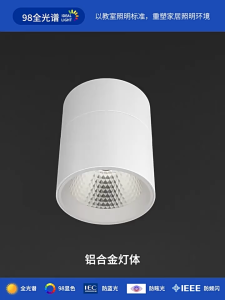ĐÈN SPOTLIGHT TRANH - Đèn soi tranh đèn hành lang ban công