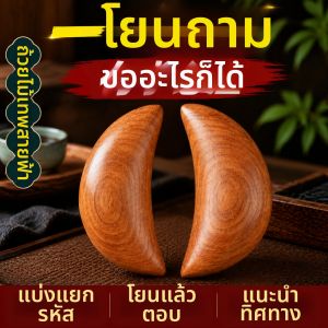 BINYUE | Divination Cup Wooden