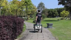 Nicedeal Collapsible Folding Wagon Trolley Cart Outdoor Utility Foldable 8inch Wheels