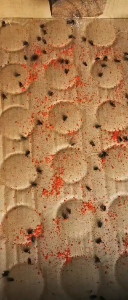 MONQIQI【100 แพ็ค】ผงไข่เน่า เหยื่อกำจัดแมลงวันแบบมืออาชีพ ใช้ฆ่าแมลงวันในบ้าน ผลิตภัณฑ์ไล่แมลงยี่ห้อไก่ชน สารไล่แมลง มีประสิทธิภาพมากและใช้งานง่าย