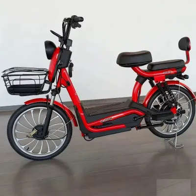 Freewinds 20-Inch Electric City Bike 500W 48V Digital Motor 20ah Battery Smart Electronic Strong Body Best Price
