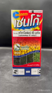 เอสทีม เซนโก้ ขนาด 500 มล. ควิซาโลฟอป -พี-เอทิล กำจัดหญ้าใบแคบ ใน คะน้า ทานตะวัน พืชตระกลูถั่ว มันสำปะหลัง เผือก สัปปะรด พริก พ่นทับได้ ปลอดภัย