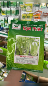 Hạt Giống Đậu Bắp Năm Cạnh 205 VẠN PHÁT (Gói 500gr) - Cho trái sớm vỏ màu xanh nhạt