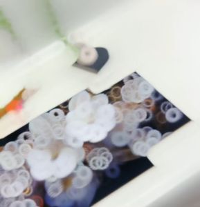 HIASAN DINDING SET ABSTRAK BLACK ORNAMEN FLORAL ISI 4 KAMAR DEKORASI RUMAH WALL DECOR PAJANGAN DINDING SATU SET BUNGA