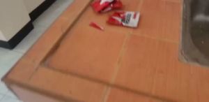 See results in 3 minutes cockroach killer pest control cockroach powder killer cockroach killing bait roach killer pesticide cockroach killer powder cockroch killer cocroach killer powder coackroach killer cacroach killer powder cockroach killer bait