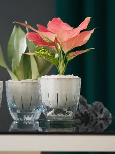 กระถาง​ กระถางต้นไม้​ แบบ​เก็บ​น้ำ​ได้​ รด​น้ำ​อัตโ  สติกพร้อมเชือกคอตตอน  กระถางต้นไม้