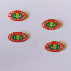 Pin Bros Lencana Kuningan PGRI (Persatuan Guru Republik Indonesia) Ukuran 3cm (Peniti / Magnet)