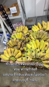 กล้วยหนึบเคลือบช็อคโกแลตและสตอเบอรี่ 100g. หนึบหนับ เคี้ยวเพลิน