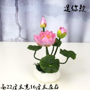 Mini Artificial Small Lotus Desktop Small Bonsai Decorative Flower Ornament Dining Table Fake Flowers Potted Avalokitesvara Buddha Front Flower Supply