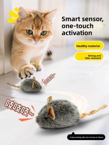 VOA | Realistic Sounding Mouse Cat Toy