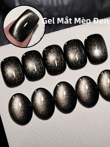 Sơn Móng Tay Gel Mắt Mèo Hạt Thủy Tinh Đen WS 10ml Nghệ Thuật Móng Sang Trọng Siêu Bóng Màu Phổ Biến Công Thức Nhựa Cao Cấp Dành Cho Salon