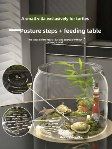 VOA | Eco-friendly Turtle Aquarium with Escape Prevention and Anti-drop Acrylic