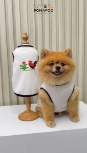 Ayam Tank - Baju Kucing dan Baju Anjing POMAPOO Premium Berkualitas