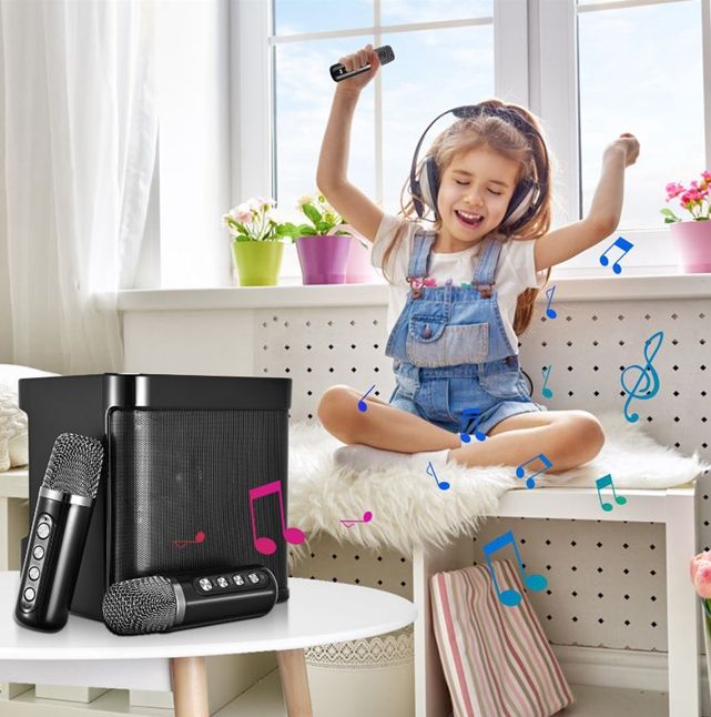 YS-203 KTV Home Karaoke Bluetooth Speaker with Wireless Dual ...