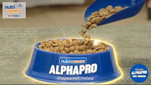 ALPHAPRO - Affordable Dog Food - SMALL BITES - Adult Beef Flavor (Best For Small Breeds) available in 10kg and 5kg packaging  [Note: Maximum order quantity/weight of (2) 10kg sacks or 20kg per single transaction for proper packaging]