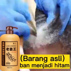 Shampo Penumbuh Rambut Cepat & Anti Rambut Rontok: Ginger Shampoo 750ml