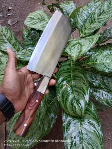 golok buat cacah tulang sapi bambu kayu dll.