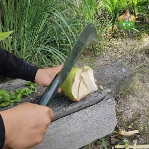 แว้กคุณยาย พร้าก๋อย ตัด แต่ง ฟัน เกี่ยว กิ่ง ใบ พร้อมด้าม