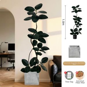 Simulated Ficus Plant Large Decorative Indoor Plant