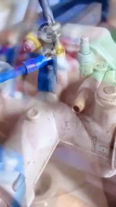 Set Terminal Kabel 280 Pcs Konektor Wire Terminal Assortment 280 Pcs Skun Terminal Kabel - 6614