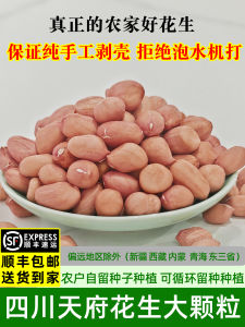 Handcrafted Shelled Peanuts ly Harvested 2025 Tianfu Sichuan Large Kernels Unsalted Snack Independent Packaging
