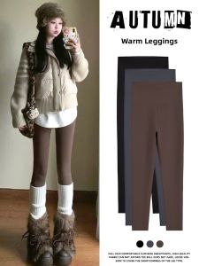 YIFANSHI | Slimming Warm Shark Winter Leggings