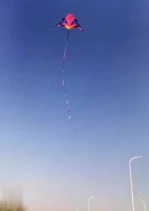 Large Rainbow Delta Kite for Kids kite 6m Tails Flying Line kite Windsocks Kite Surfing Fly - Factory Direct Kids Kite nylon