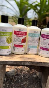 Shampo All-in Perawatan Salon Ukuran Jumbo Kemasan 500ml Aroma Harum Wangi Seharian Bebas Lepek