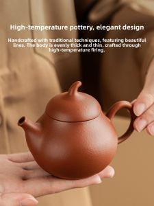 JISU | Bình Trà Zisha Handmade Cao Cấp