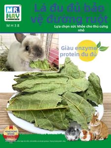 Thức Ăn Cho Thỏ Điều Chỉnh Sức Khỏe Tuyến Tiêu Hóa Từ Lá Đứa