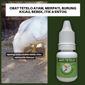 Obat Ayam Tetelo Gangguan Saraf Jalan Diseret Sayap Terkulai Dan Kepala Berputar