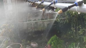 bộ phun sương tự động tưới cây Sin tưới lan phun sương tưới cây cảnh có hẹn giờ tắt bật tự động trọn bộ 10 - 15 béc