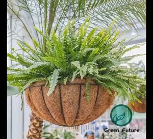椰棕圆形悬挂盆 吊篮盆 萝兰盆 铁艺吊兰盆 悬挂式花盆 Coconut palm round hanging basket Hanging basket pot rolan pot iron hanging orchid pot