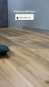 TaffSTUDIO Payung Softbox Studio 50x70cm + Tripod 2 meter + Bohlam 45W Reflektor Fotografi - Black / Lighting Studio / Lampu Studio / Softbox Lighting / Backdrop Foto Studio / Lampu Studio Mini / Lampu Softbox / Lampu Lighting Studio