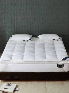 KANGERXIN | Soft Comfortable Feather Mattress