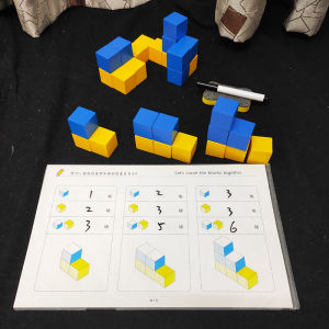 Mathematics Logical Thinking and Spatial Sense Training Educational Building Blocks for Preschool