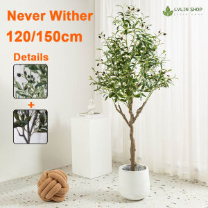 【Ready Stock】Artificial Plant/Artificial Olive Tree /Pokok zaitun 人造植物