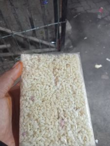 kue gipang lapis kacang enak dan manis leszat nikmat