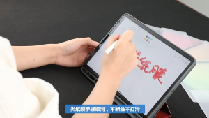 【✅SG READY STOCK】RICHMENTMALL Removable Matte Painting Anti-Spy Magnetic Paper-Feel Privacy Screen Protector Film for OPPO Pad 4/3 NEO pro Privacy Screen Protector Film Like Writing On Paper