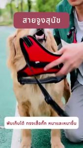 FOLOPETS สายจูงสุนัข เสื้อรัดอกสุนัข เสื้อรัดอกสัตว์เลี้ยง สายจูงสุนัข พันธุ์กลาง-ใหญ่ หลายสี หลายไซส์ สายจูงหมา มีแถบสะท้อนแสง จัดส่งรวดเร็ว การขนส่งฟรี